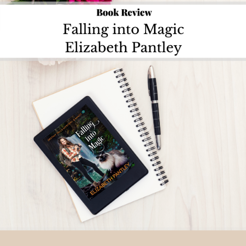 Review_ Falling Into Magic by Elizabeth Pantley