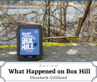What Happened on Box Hill by Elizabeth Gilliland